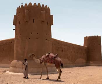Doha: Combo Heritage & Art Tour of North and West Qatar