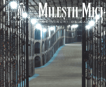 Moldawien: Wein Tour zum Mileștii Mici Keller mit Verkostung
