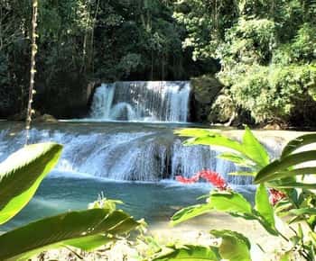 Negril: Black River Safari and YS Falls Tour with Lunch