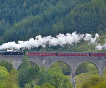 Glenfinnan: Glenaladale cruise, see the train and eagles 2hr