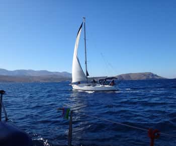 Chios: Sailing Boat Cruise to Oinouses with Meal & Drinks