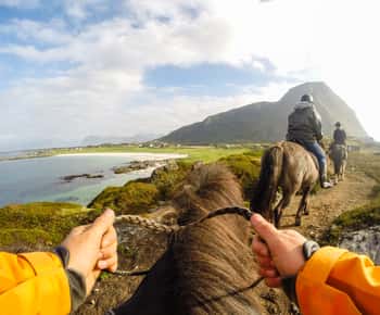 Lofoten : visite guidée à cheval à travers Hov et Hovsund