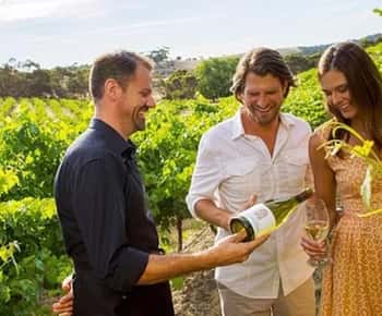Ontario: Tarde de Ruta del Vino y Maridaje de Quesos