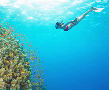 Phu Quoc : Excursion en bateau rapide sur 4 îles avec plongée en apnée et barbecue
