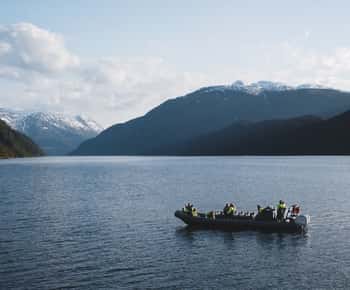 Ulvik: Hardangerfjord Ultimate RIB Safari