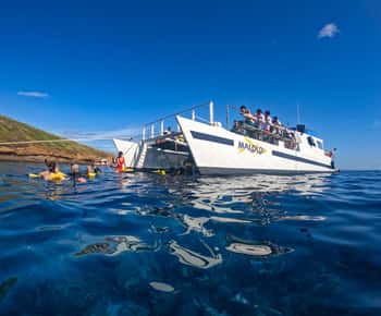 South Maui: Snorkel to Coral Gardens or Molokini Crater
