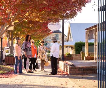 Recorrido a pie por Hahndorf, Australia Meridional
