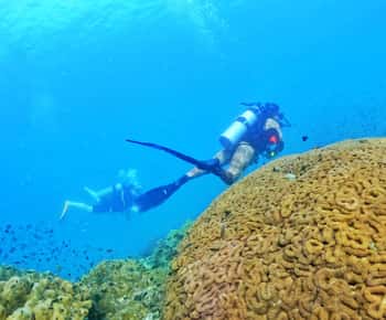 Phu Quoc : expérience de plongée sous-marine pour tous les niveaux