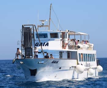 Von Palermo: Bus & Kreuzfahrt nach Favignana & Levanzo mit Mittagessen