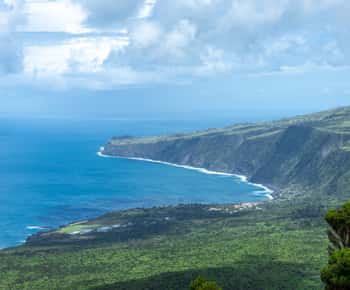 Faial Island: Half Day Tour