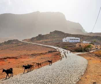 Hike to the highest point of Monte verde