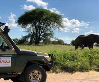 From Zanzibar: Nyerere National Park Game Drive with Lunch