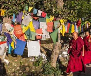 Caminhada guiada, o Mini Tibete da Índia em Mcleodganj