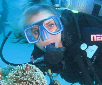 Cesme: Scuba Diving Experience