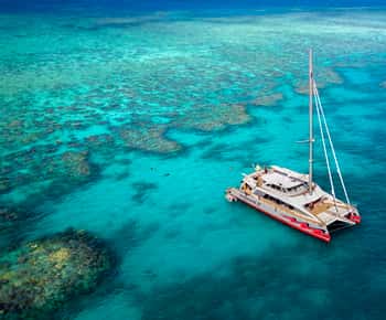 Cairnsből: Cairns: Great Barrier Reef Cruise prémium katamaránnal