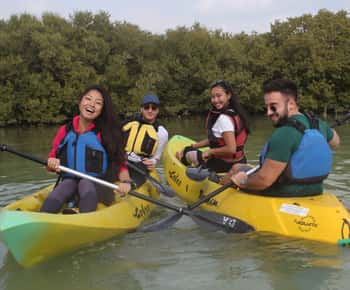 From Doha: Mangroves Kayaking Adventure