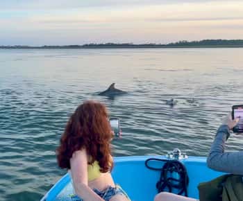 Charleston: Cruzeiro de golfinhos em Morris Island com Beachcombing