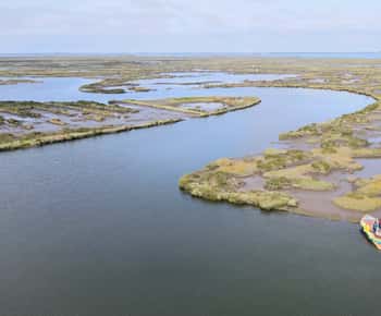 Aveiro: Ria Highlights Bootstour