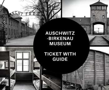 Auschwitz-Birkenau: Inträdesbiljett till minnesmärke och guidad tur