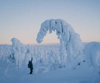 Vandring i Riisitunturi Nationalpark med fotograf