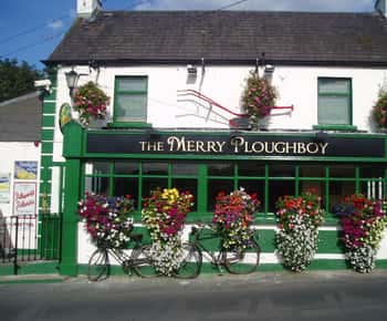 Dublin: Irish Night Show im Merry Ploughboy Pub