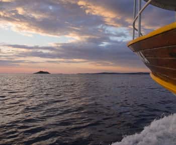 Rovinj: Bootsfahrt bei Sonnenuntergang mit Delphinbeobachtung