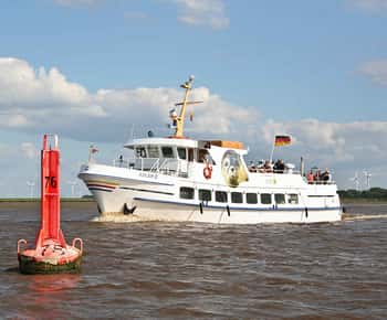 De Tönning: Passeio de barco para ver as focas