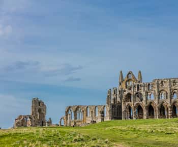Whitby Abbey Ticket