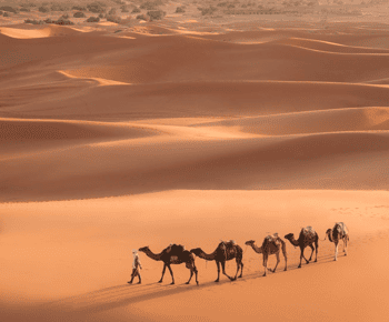 Desde Marrakech Excursión de 3 días a Merzouga y el desierto del Sahara