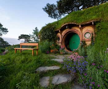 De Matamata: experiência guiada de Hobbiton com transferências de ônibus