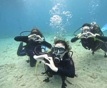 Tenerife: Beginner's Dive at a Spot with Turtle Sightings
