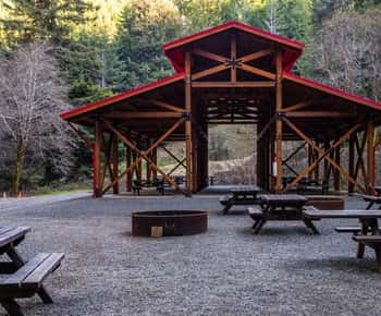 From Fort Bragg: Redwoods Train Ride and Nightclub Ticket