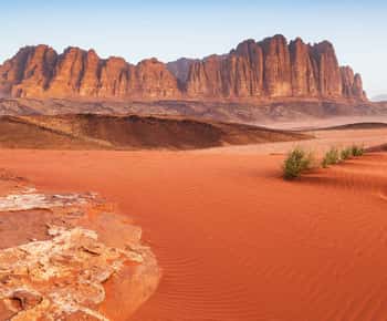 Amã: Excursão de 2 dias a Petra, Wadi Rum e Mar Morto