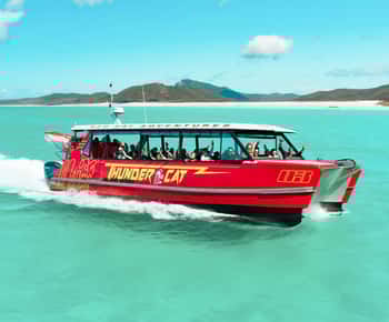 Airlie Beach: Cruzeiro ecológico de dia inteiro em Whitehaven com buffet