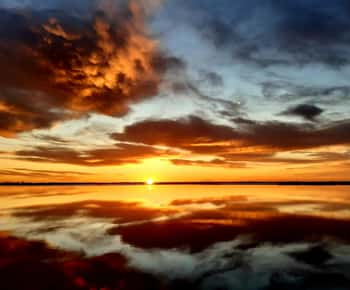 Le Grau du Roi: Half-Day Tour of Camargue