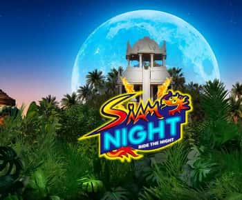 Biglietto d'ingresso per Siam Night