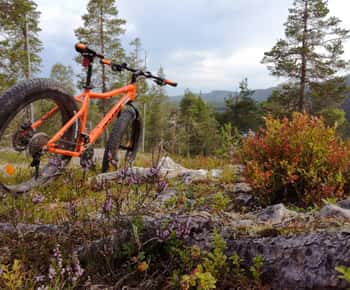 Ruka : Mit Fatbikes in den Wald