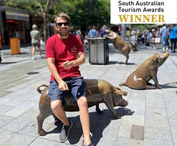 Adelaide: Guided Ultimate Walking Tour with Drink and Snack