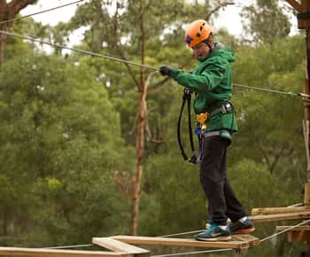 Yeodene: Tree Ropes Courses