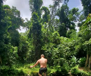 Fra San Juan: El Yunque regnskov og Luquillo strandtur