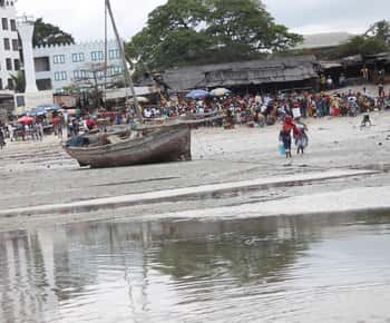 Private Bagamoyo Day Trip with Lunch