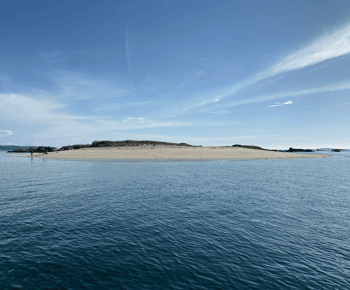 Ría de Arousa: Seilbåtcruise på dagtid eller ved solnedgang med drikke