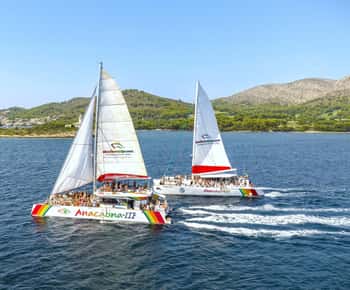 Port d'Alcudia: Katamaran-Kreuzfahrt an der Nordküste mit Mahlzeit