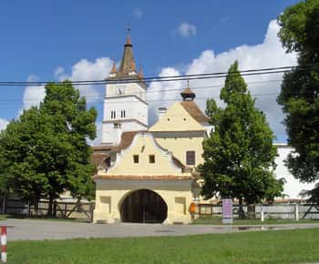 Brasov: Saxon Fortified Churches Day Tour with Guide
