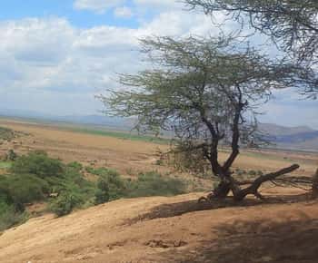 "Exploring Diversity: 7 days journey through Ethiopia's omo