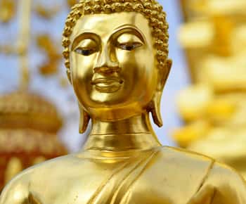 Chiang Mai: Tur privat de 1 zi la templu