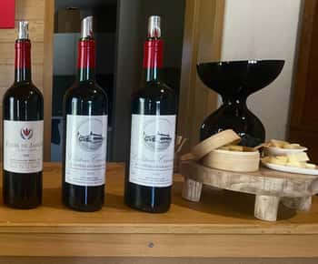 Besichtigung des Weinguts und Workshop zur Kombination von Wein und Käse