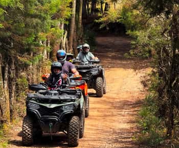 From Medellin: ATV Adventure: Mountains and Forest Tour