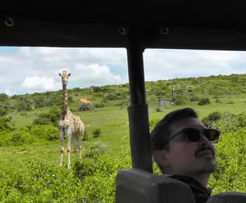 Port Elizabeth:2-Day Schotia Safaris & Addo Wildlife Reserve