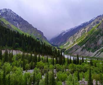 Bishkek: Ala Archa National Reserve halvdagstur med vandretur